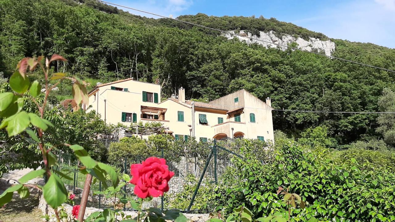 Alveare Finale Ligure